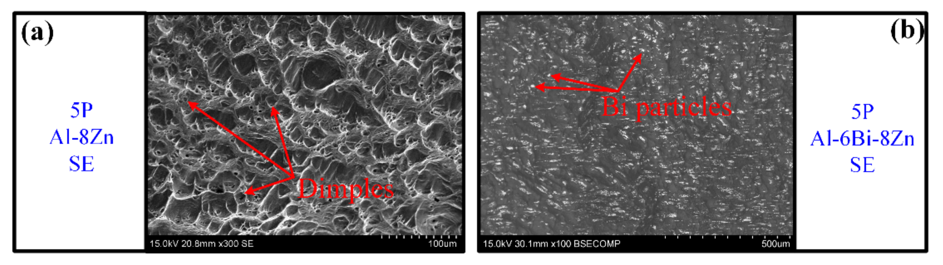 Metals 11 02043 g010