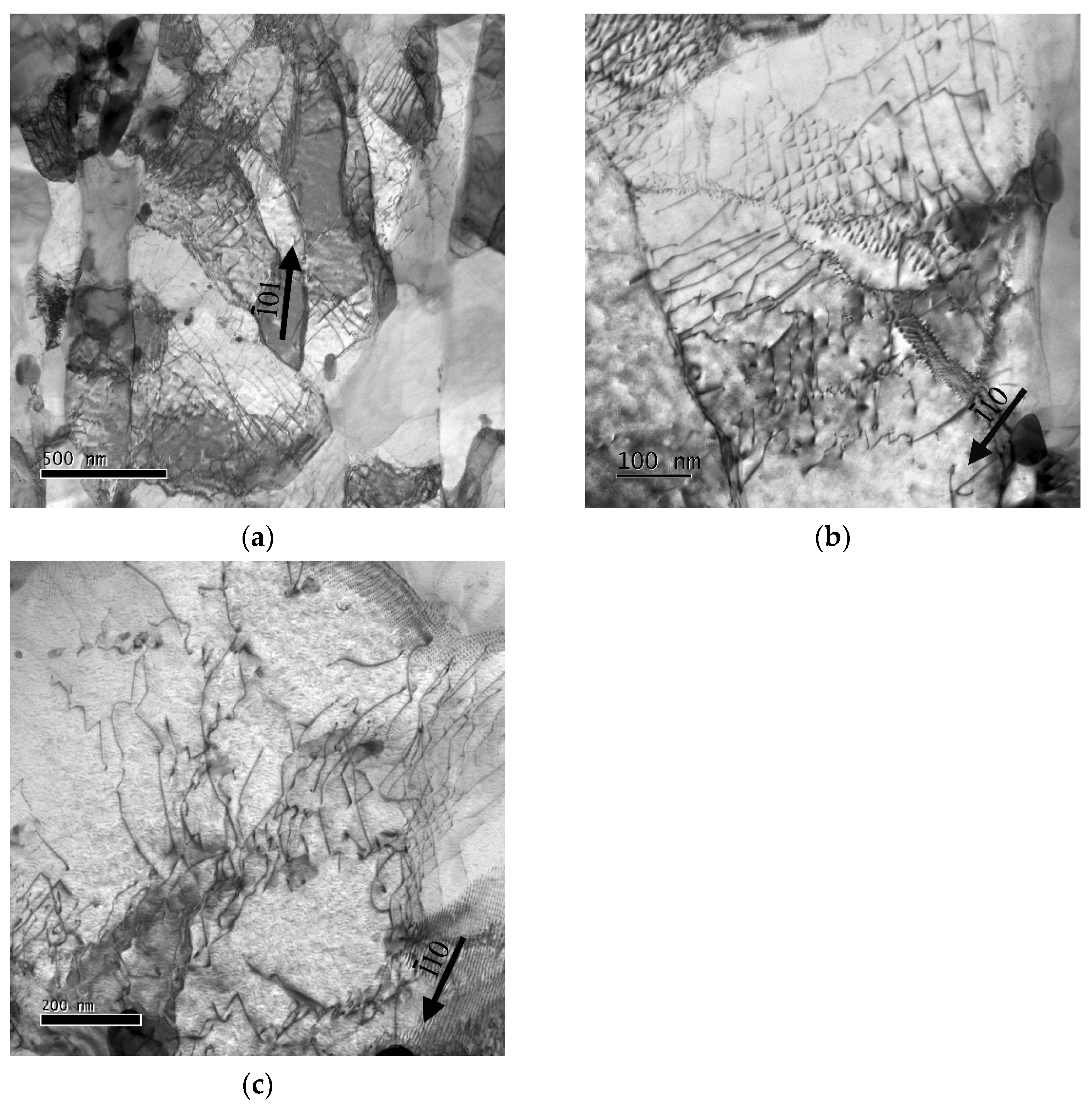 Metals 11 02044 g008