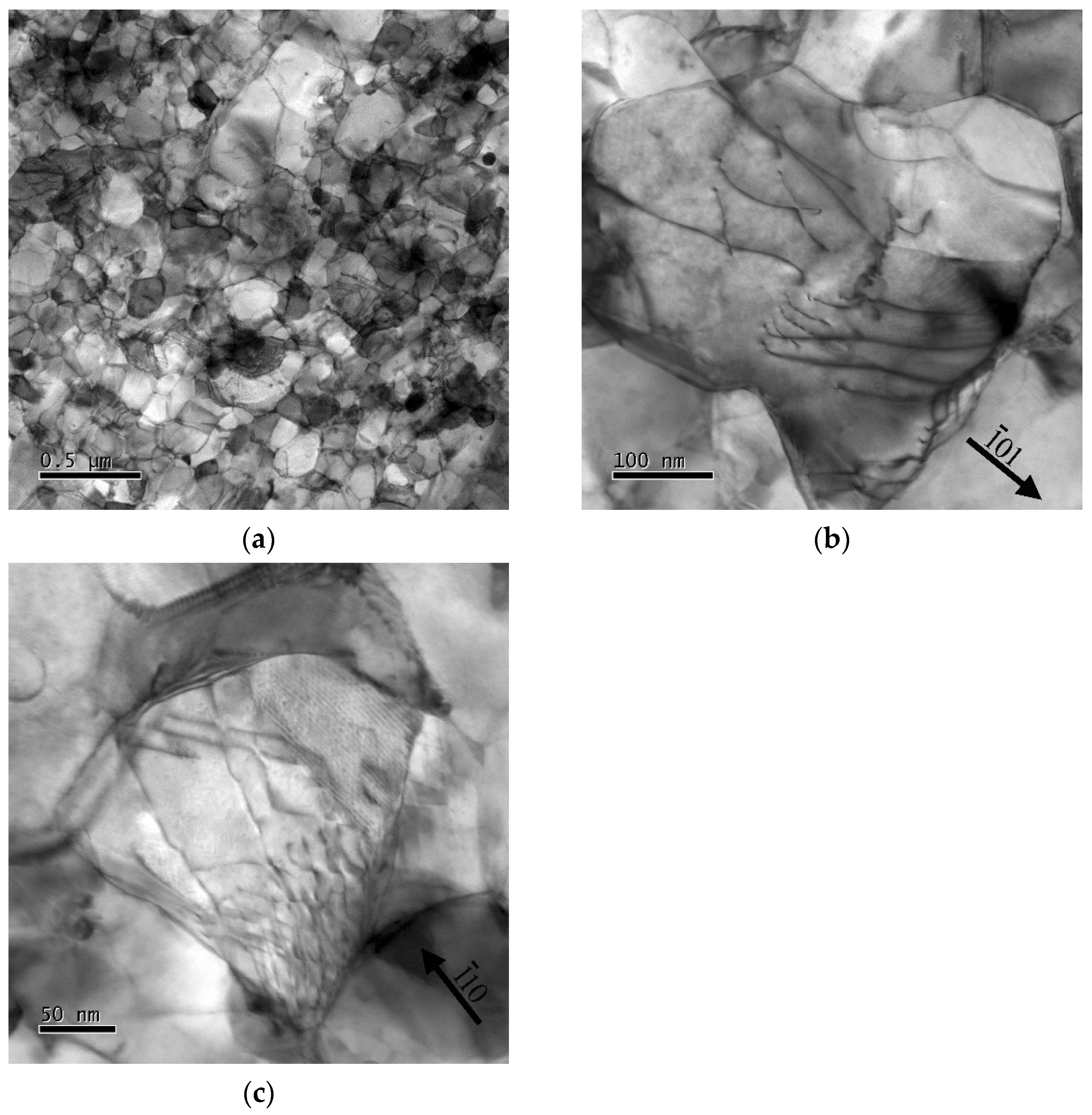 Metals 11 02044 g011