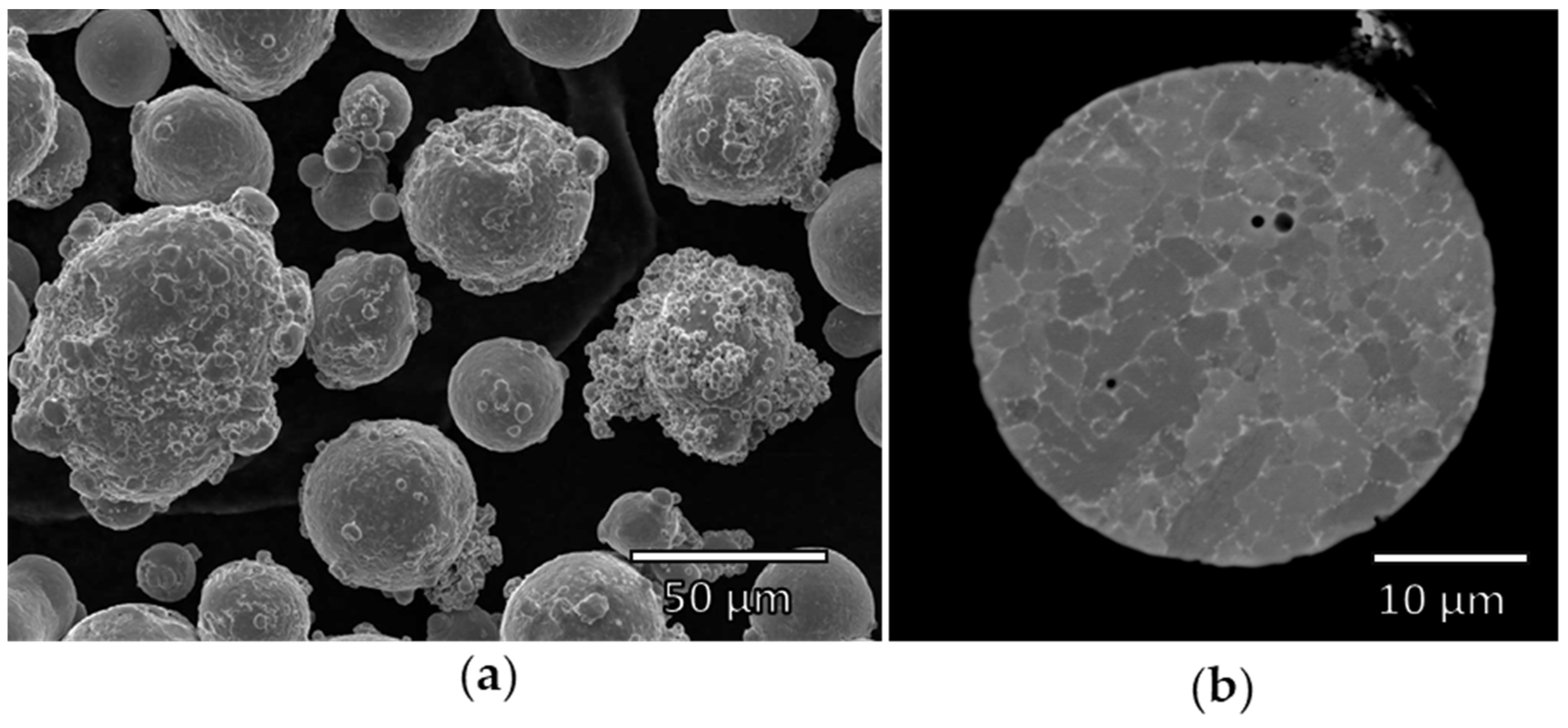 Metals 11 02048 g001