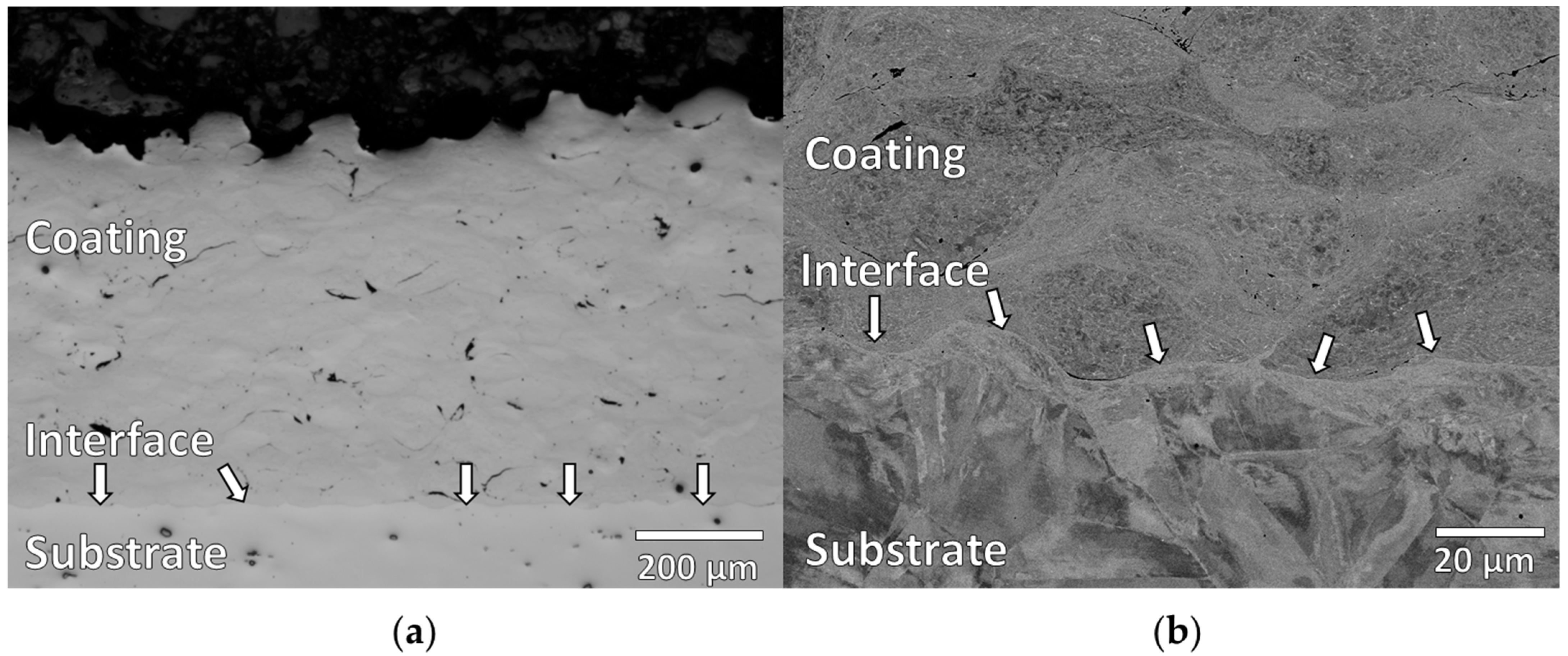 Metals 11 02048 g002