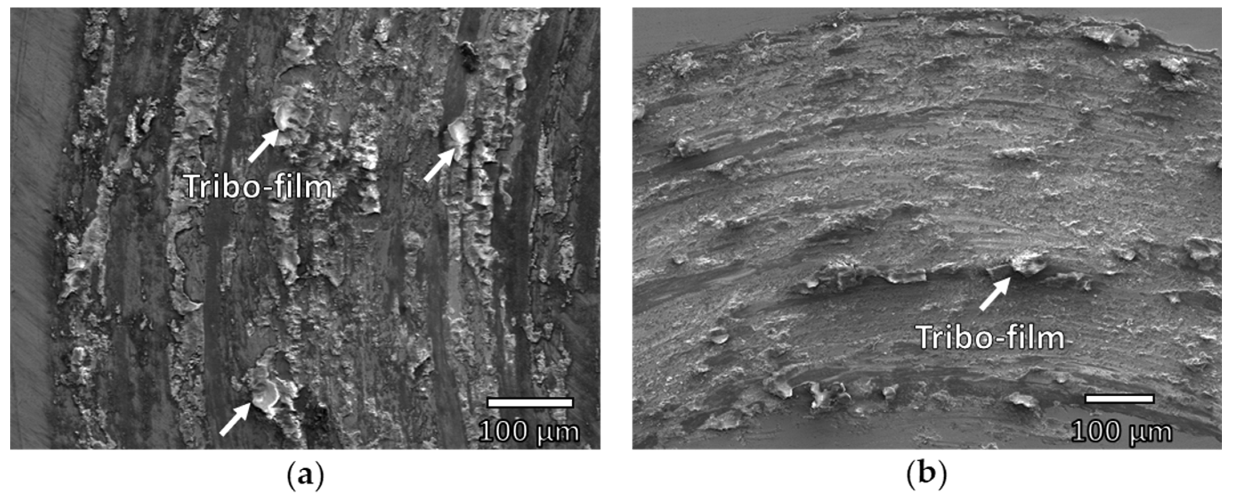 Metals 11 02048 g006