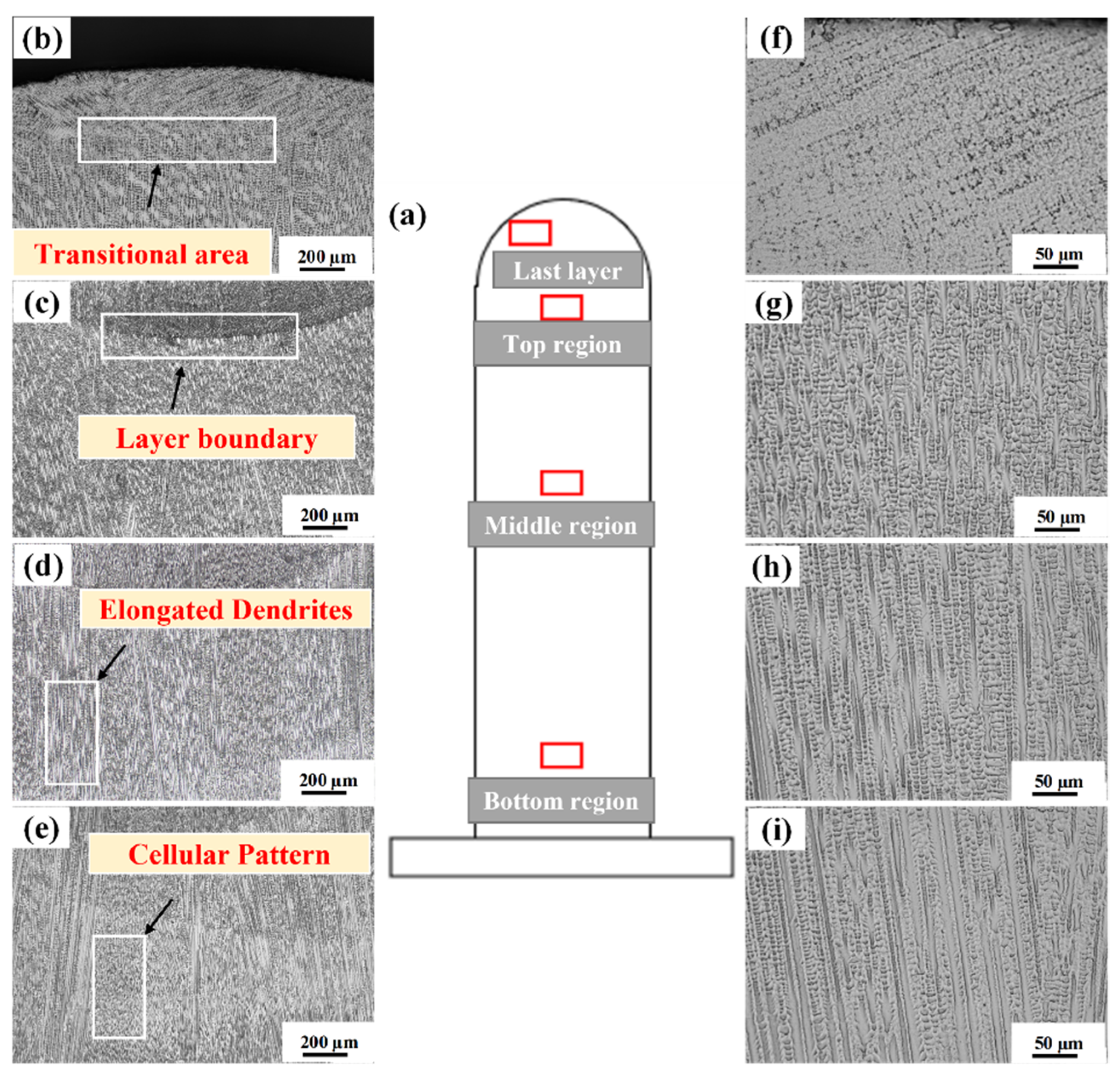 Metals 12 00046 g003