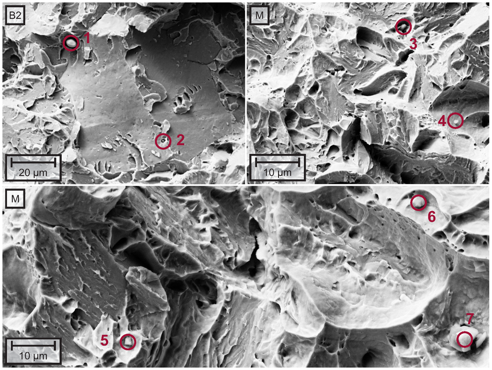 Metals 12 00097 g010