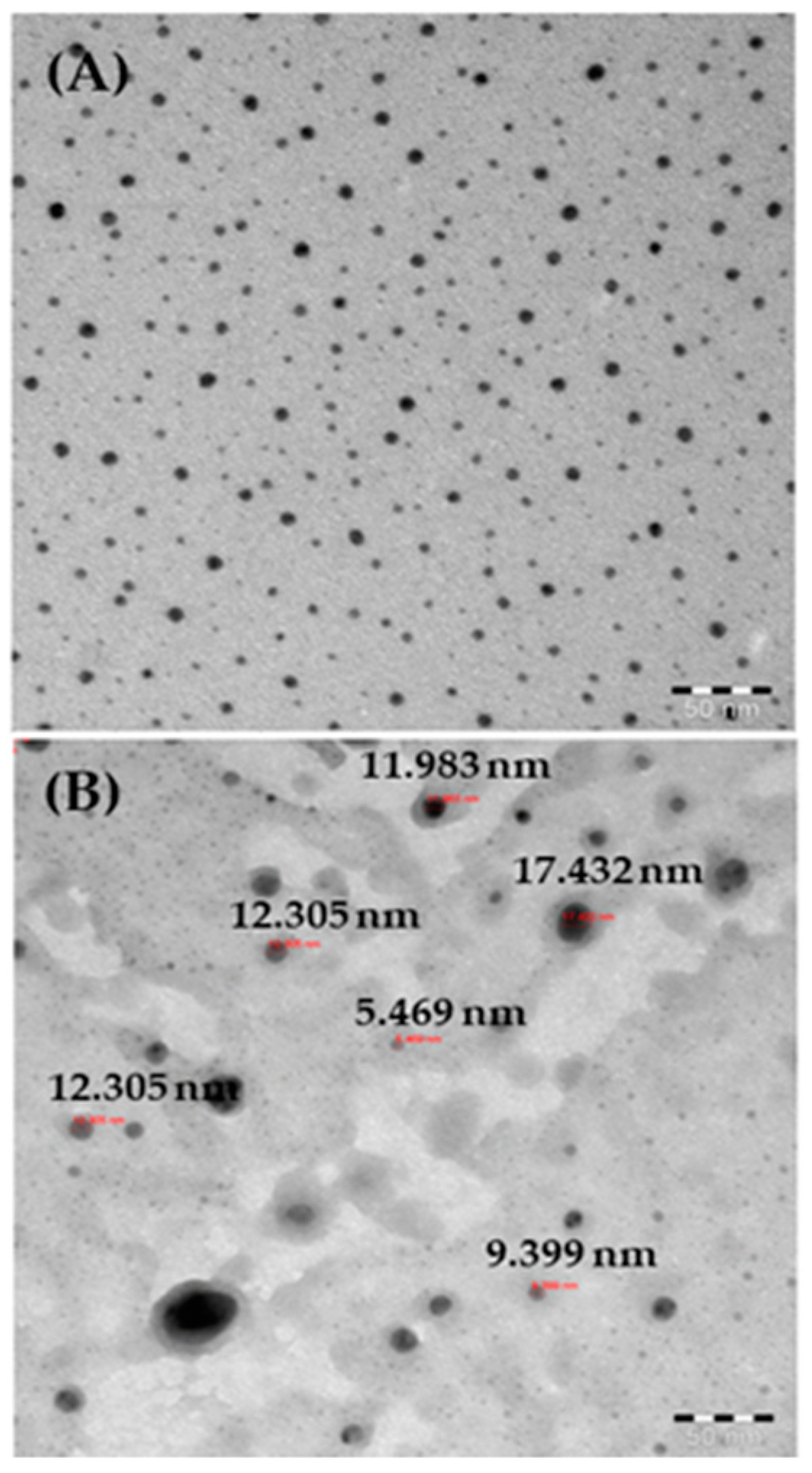 Metals 12 00148 g003