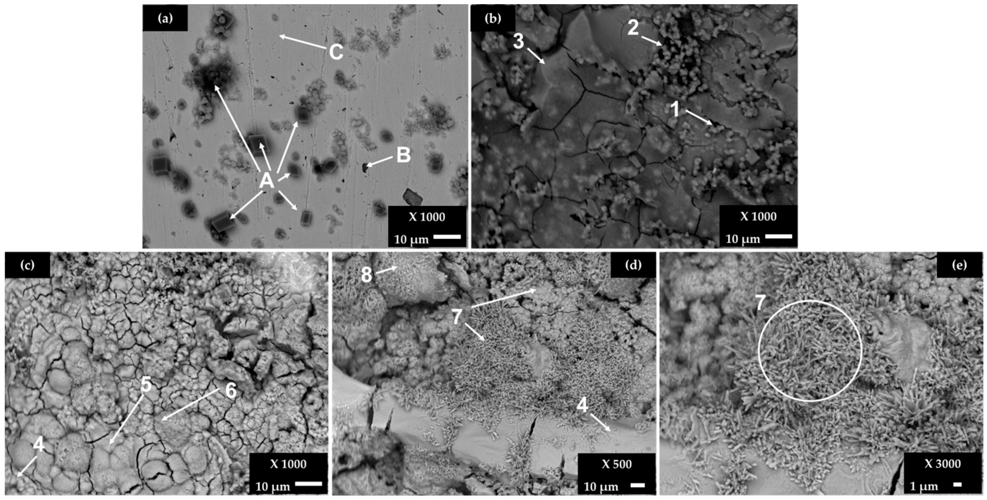 Metals 12 00150 g002