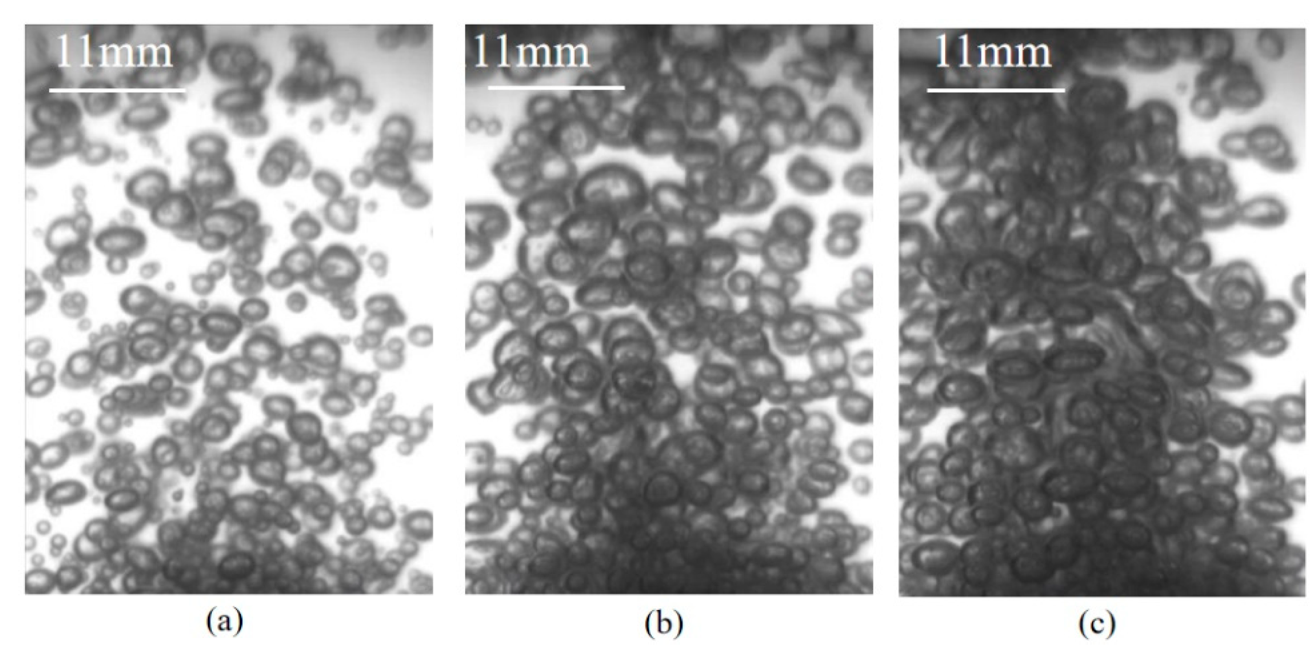 Metals 12 00162 g006