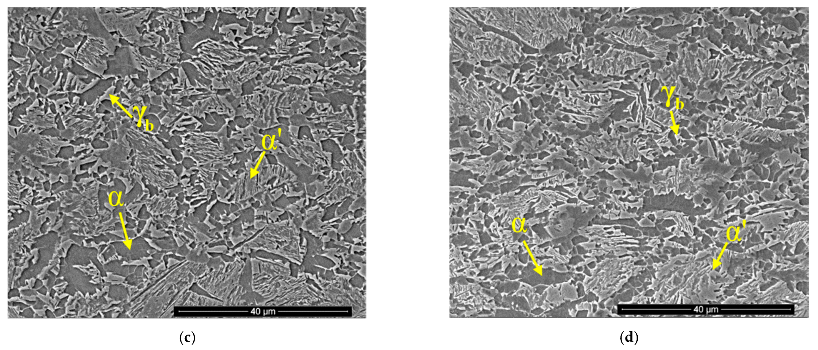 Metals 12 00174 g013b