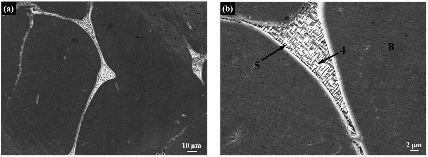 Metals 12 00191 g005a