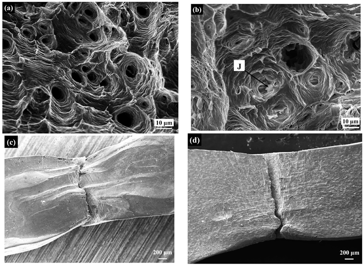 Metals 12 00191 g011