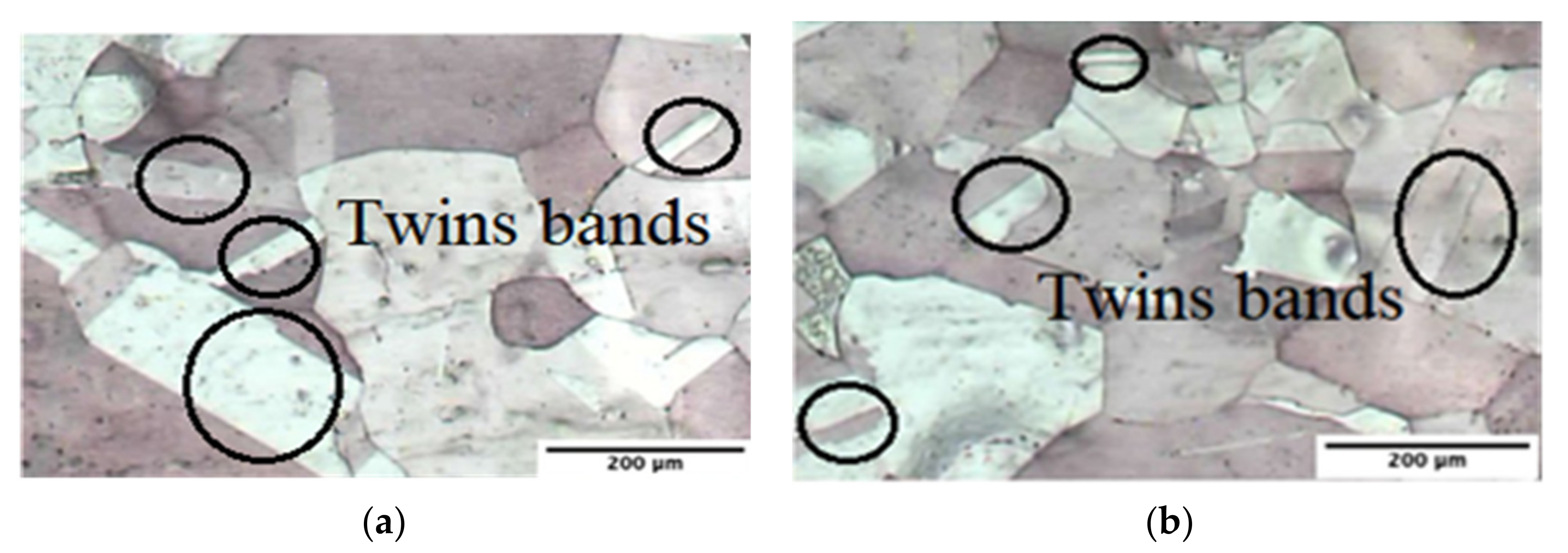 Metals 12 00193 g018