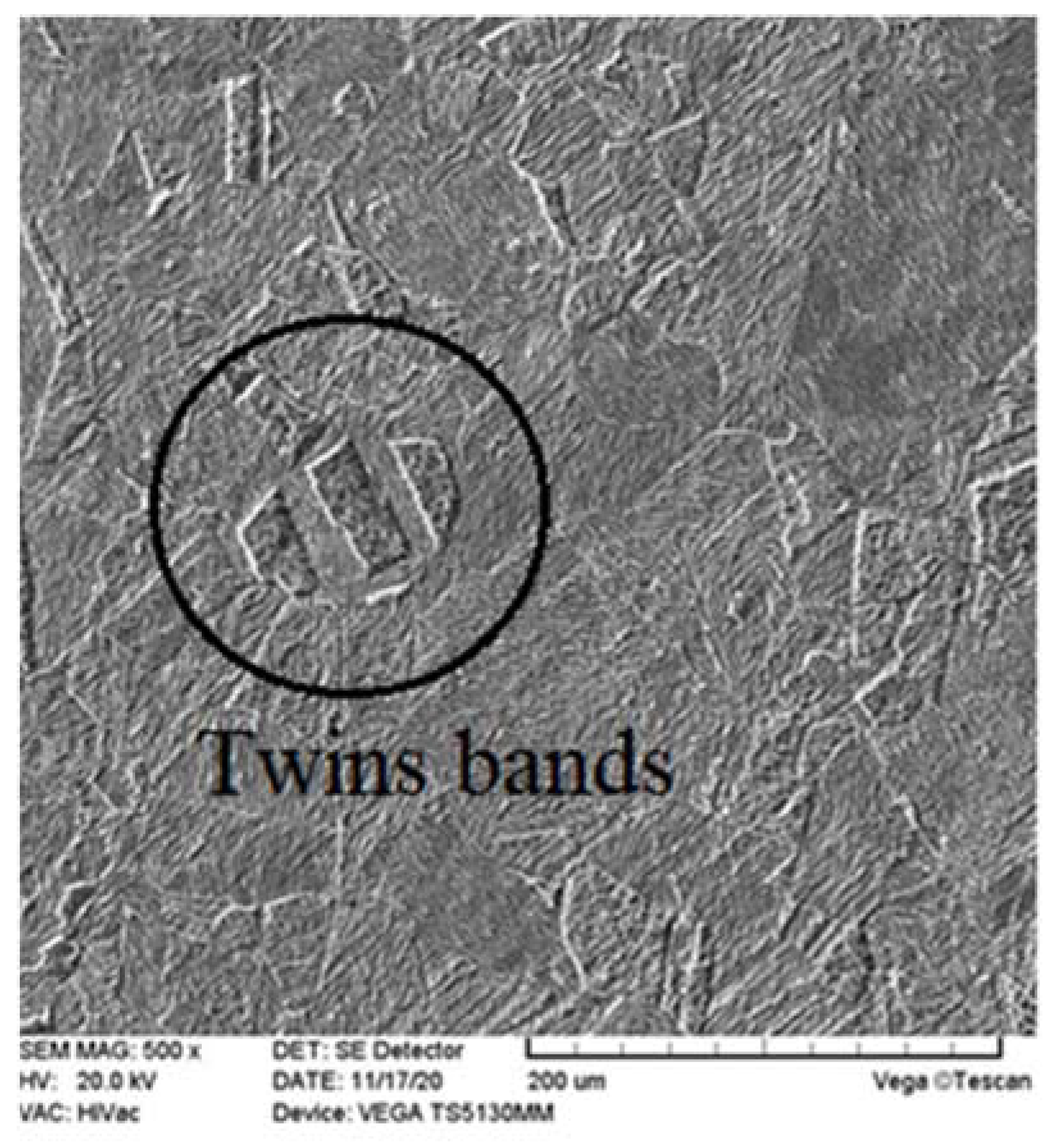 Metals 12 00193 g019