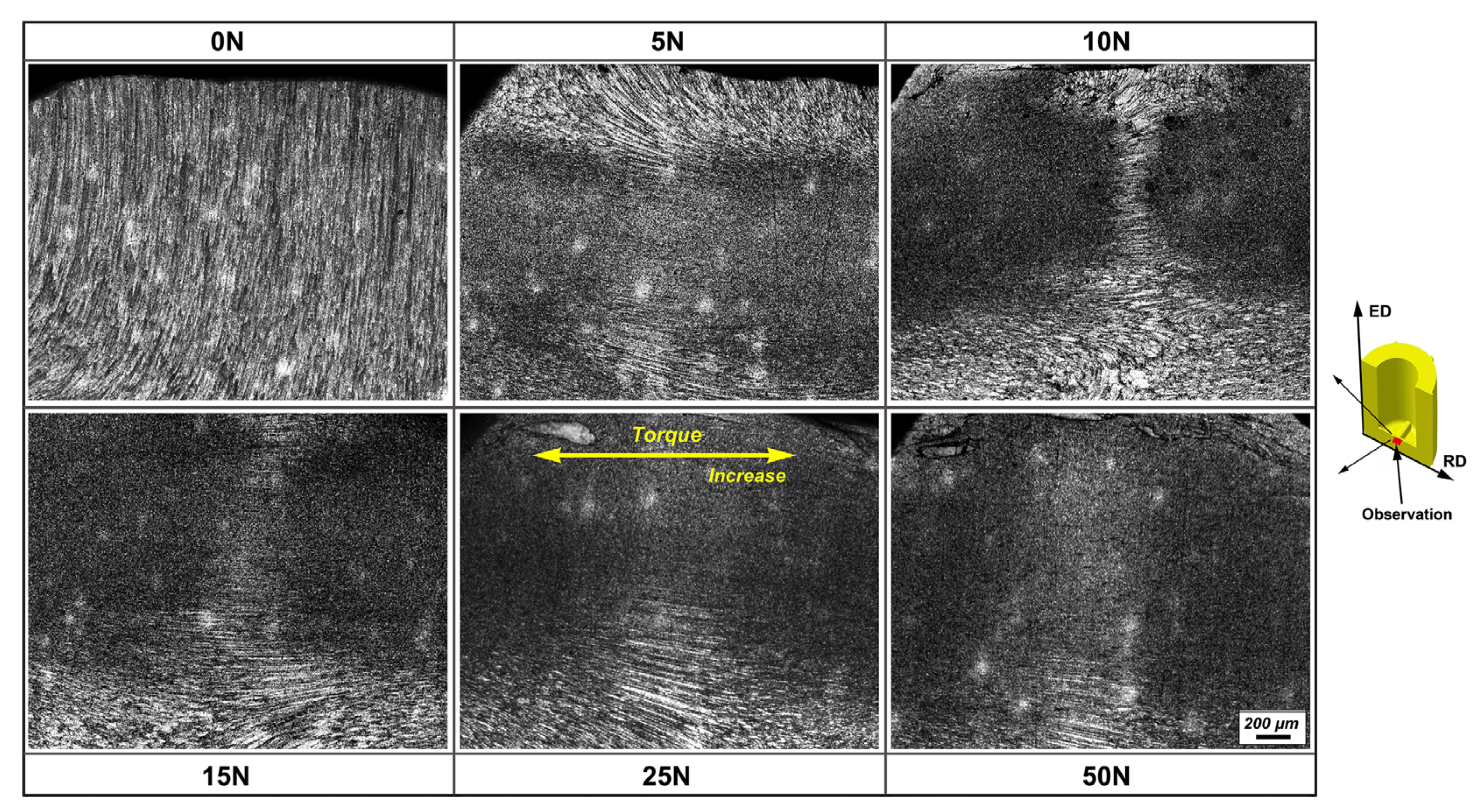 Metals 12 00227 g007