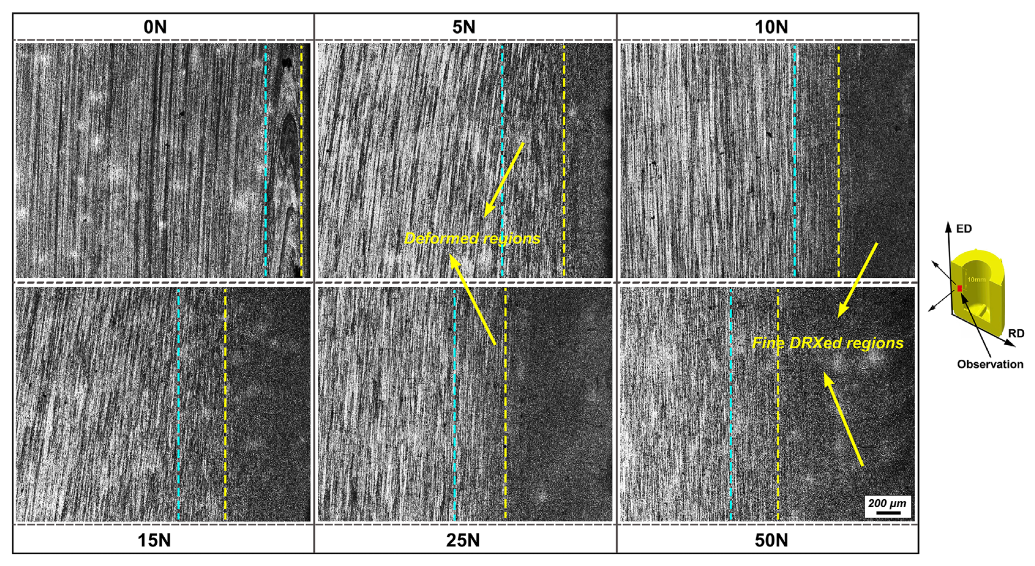 Metals 12 00227 g008
