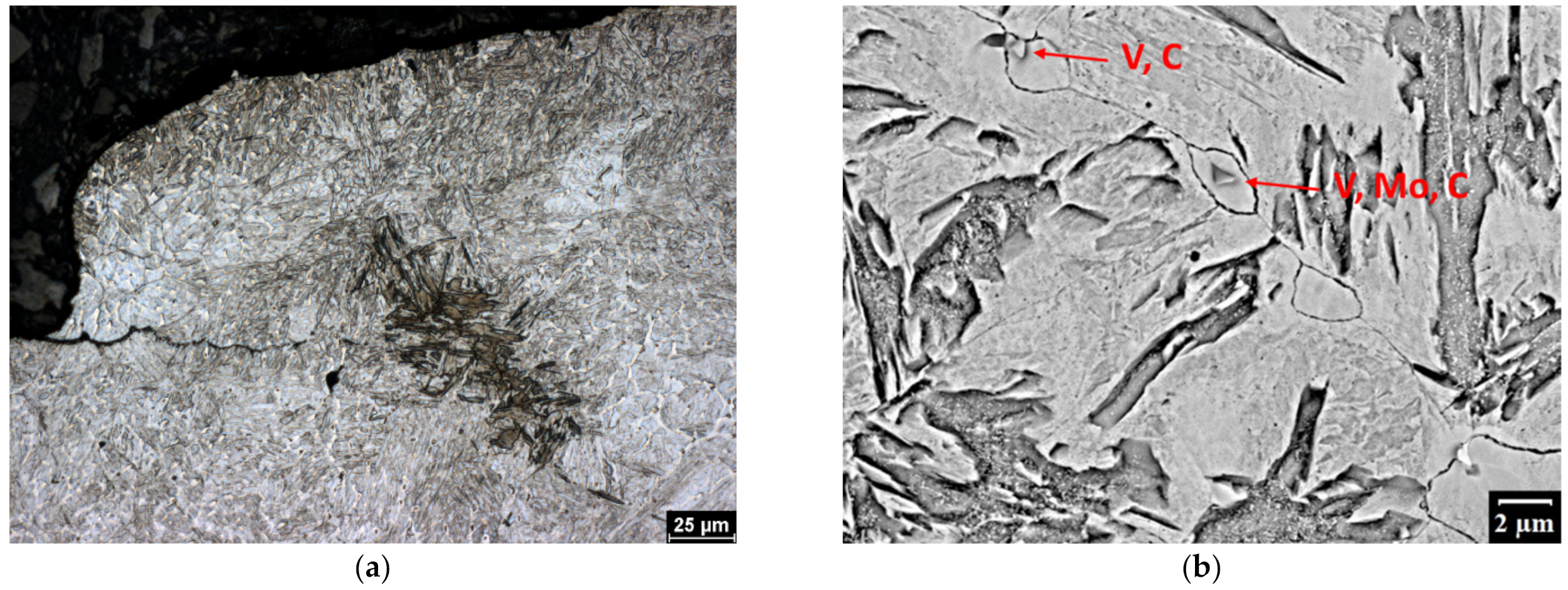 Metals 12 00243 g004