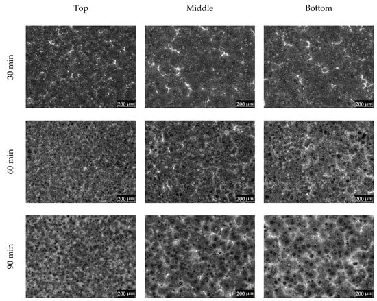 Metals 12 00249 g0a2a 550