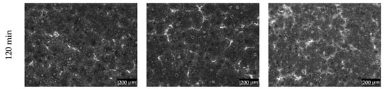 Metals 12 00249 g0a2b 550