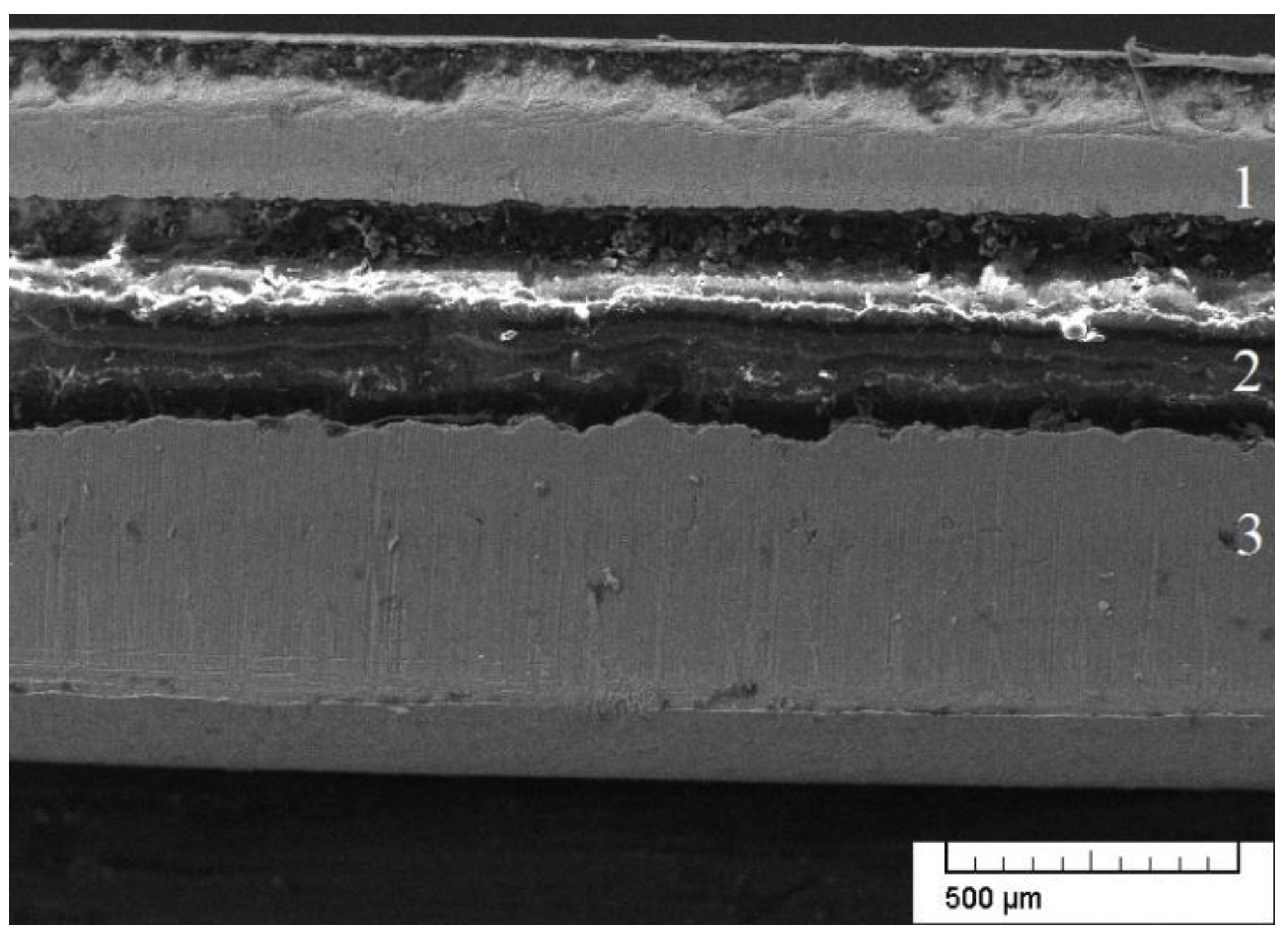 Metals 12 00256 g002