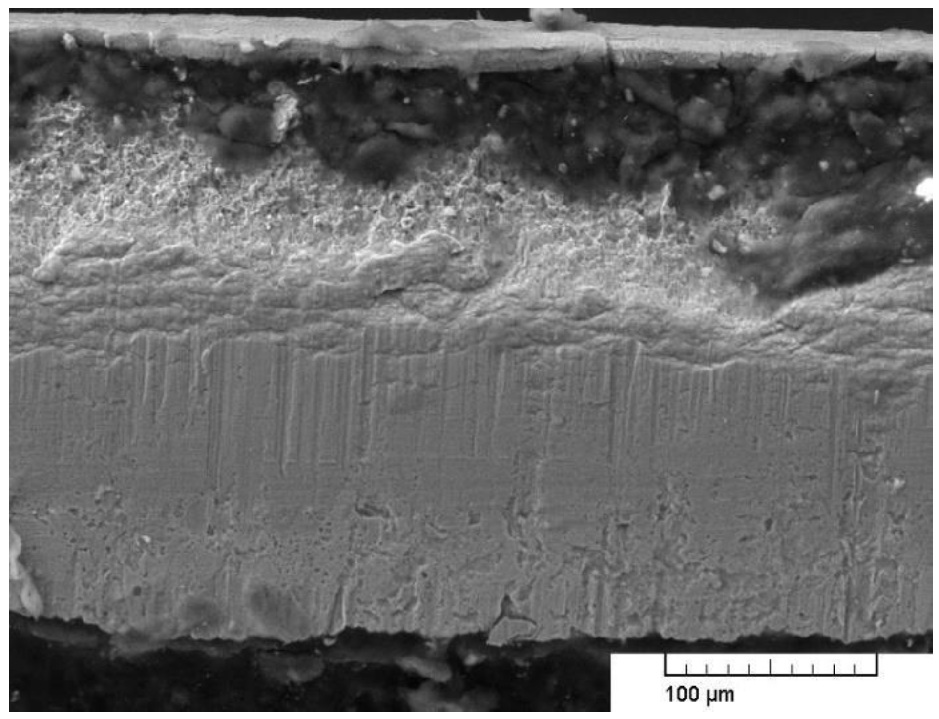 Metals 12 00256 g003