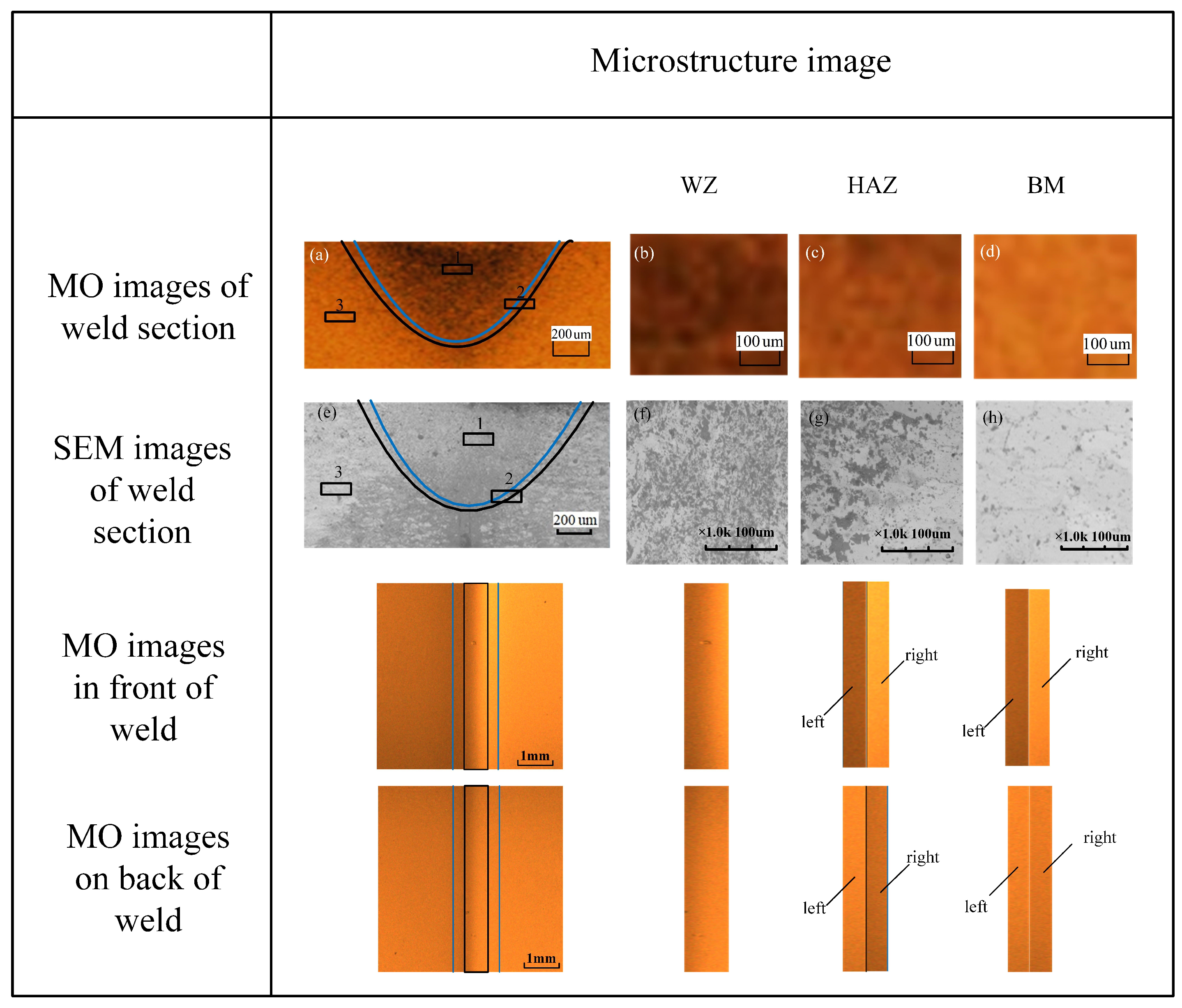 Metals 12 00258 g008