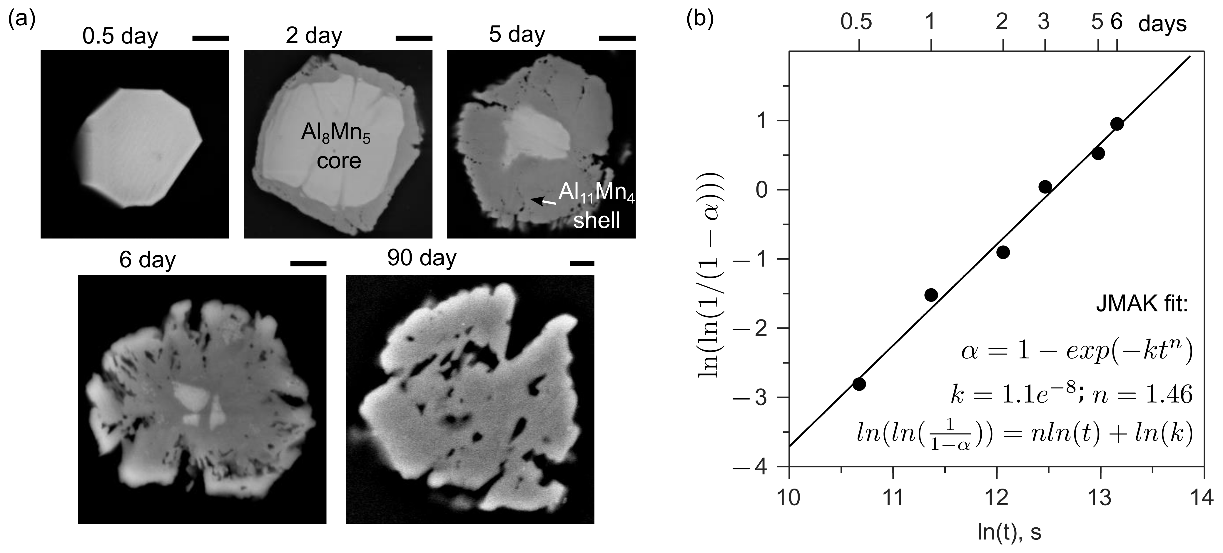 Metals 12 00266 g005