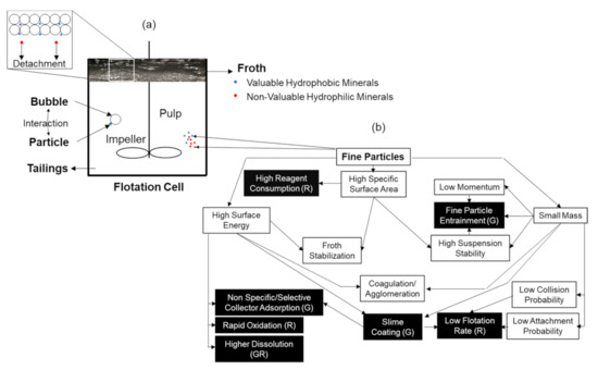 Metals 12 00270 g003 550