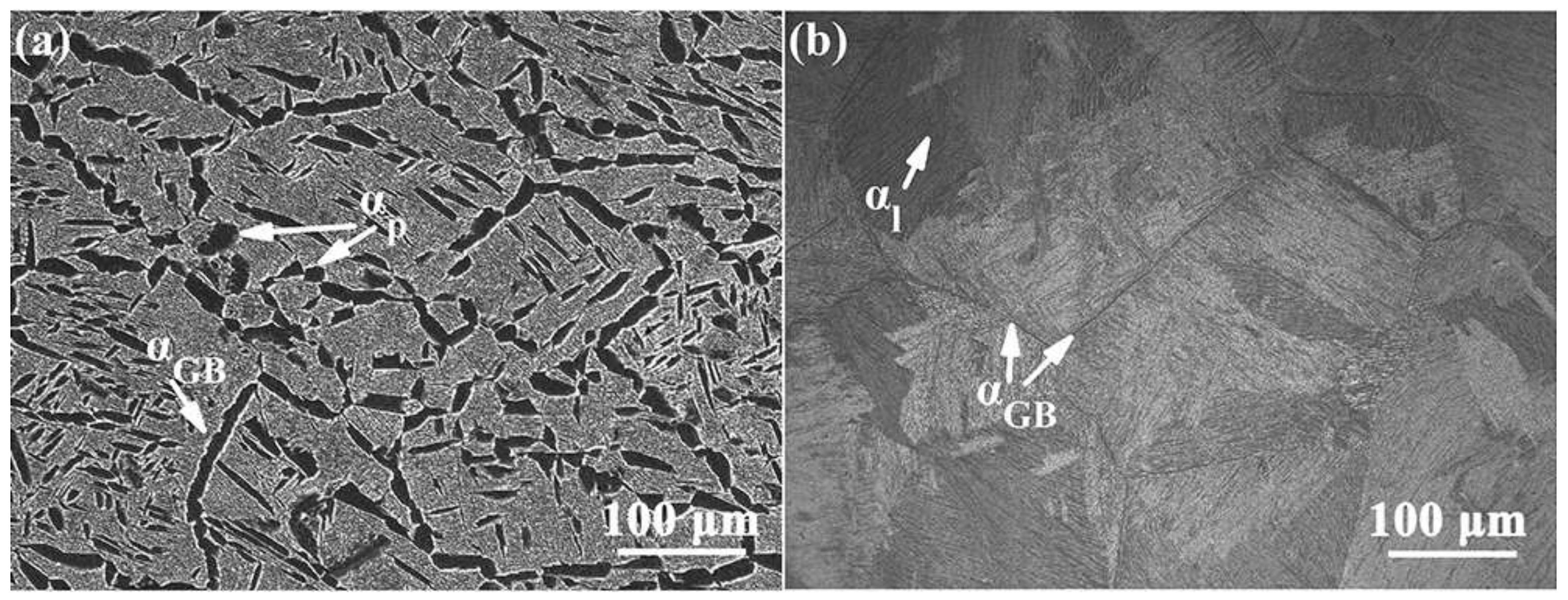 Metals 12 00271 g003