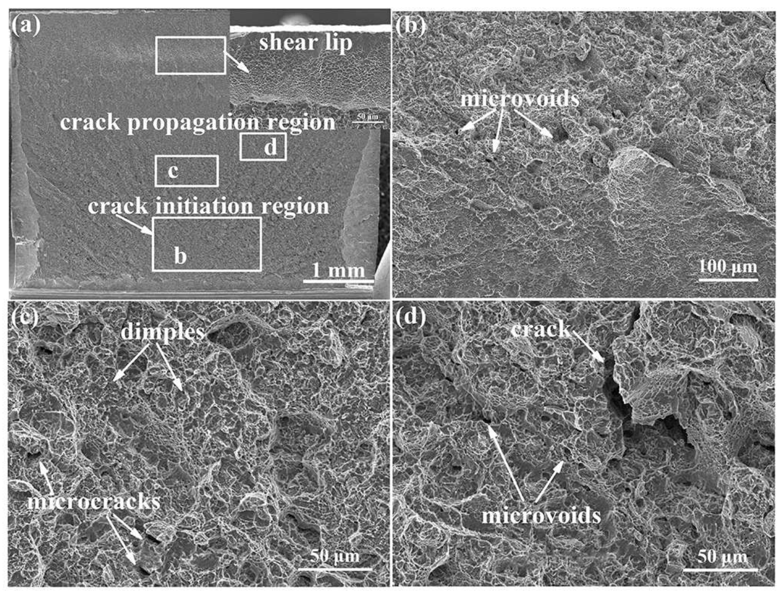 Metals 12 00271 g006