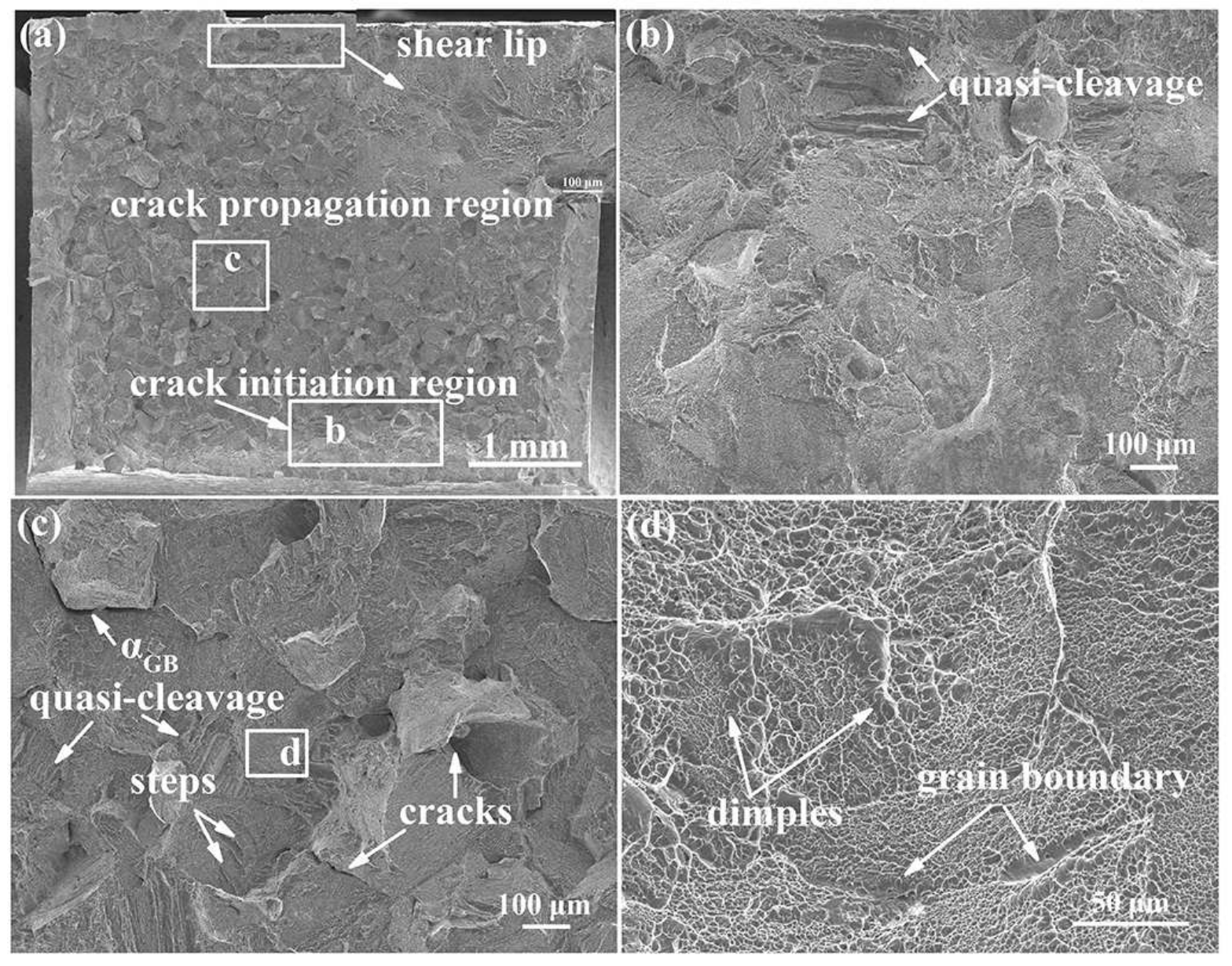 Metals 12 00271 g007