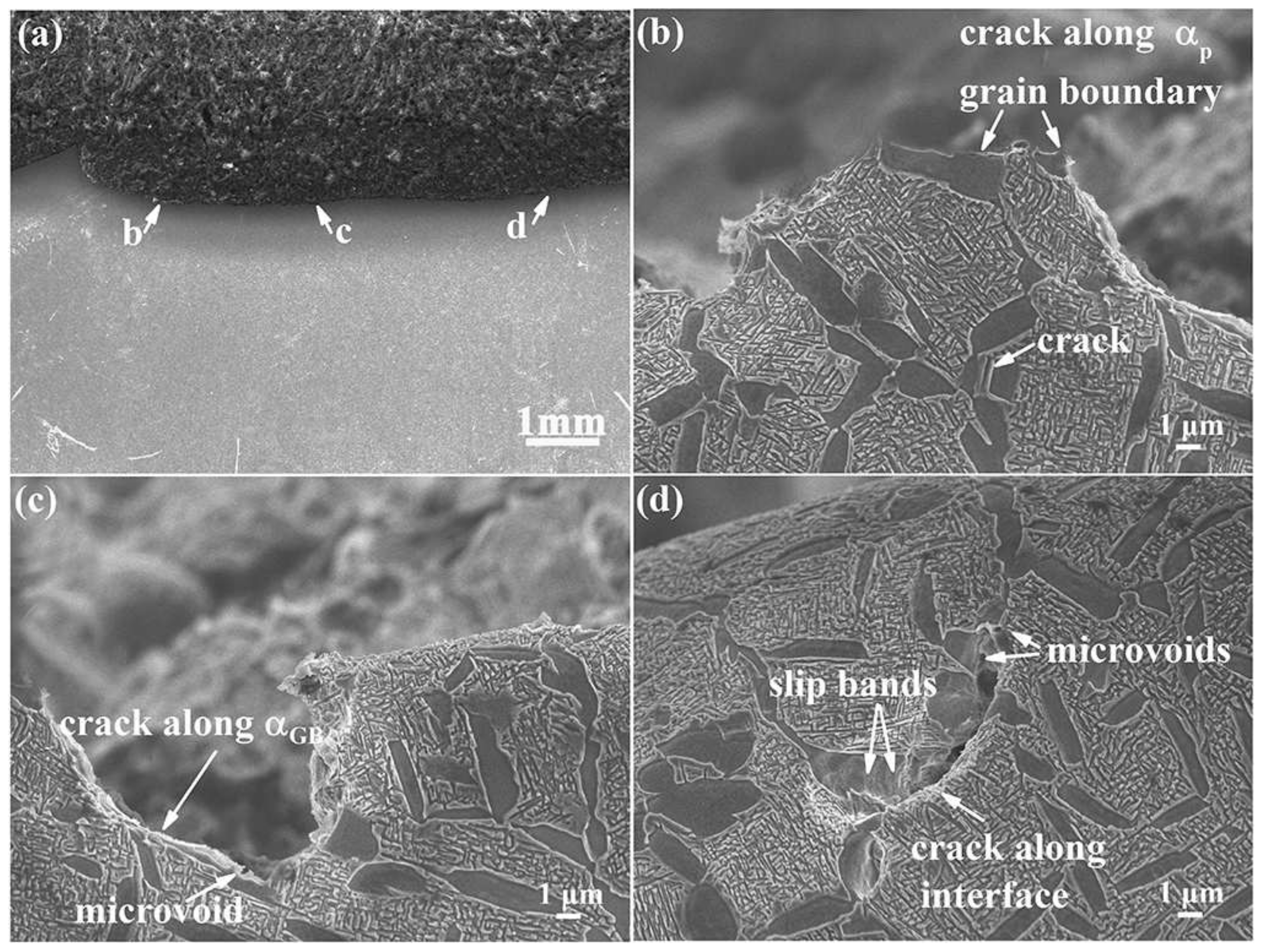 Metals 12 00271 g008