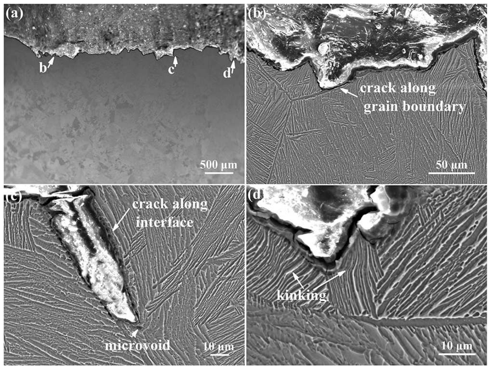 Metals 12 00271 g009