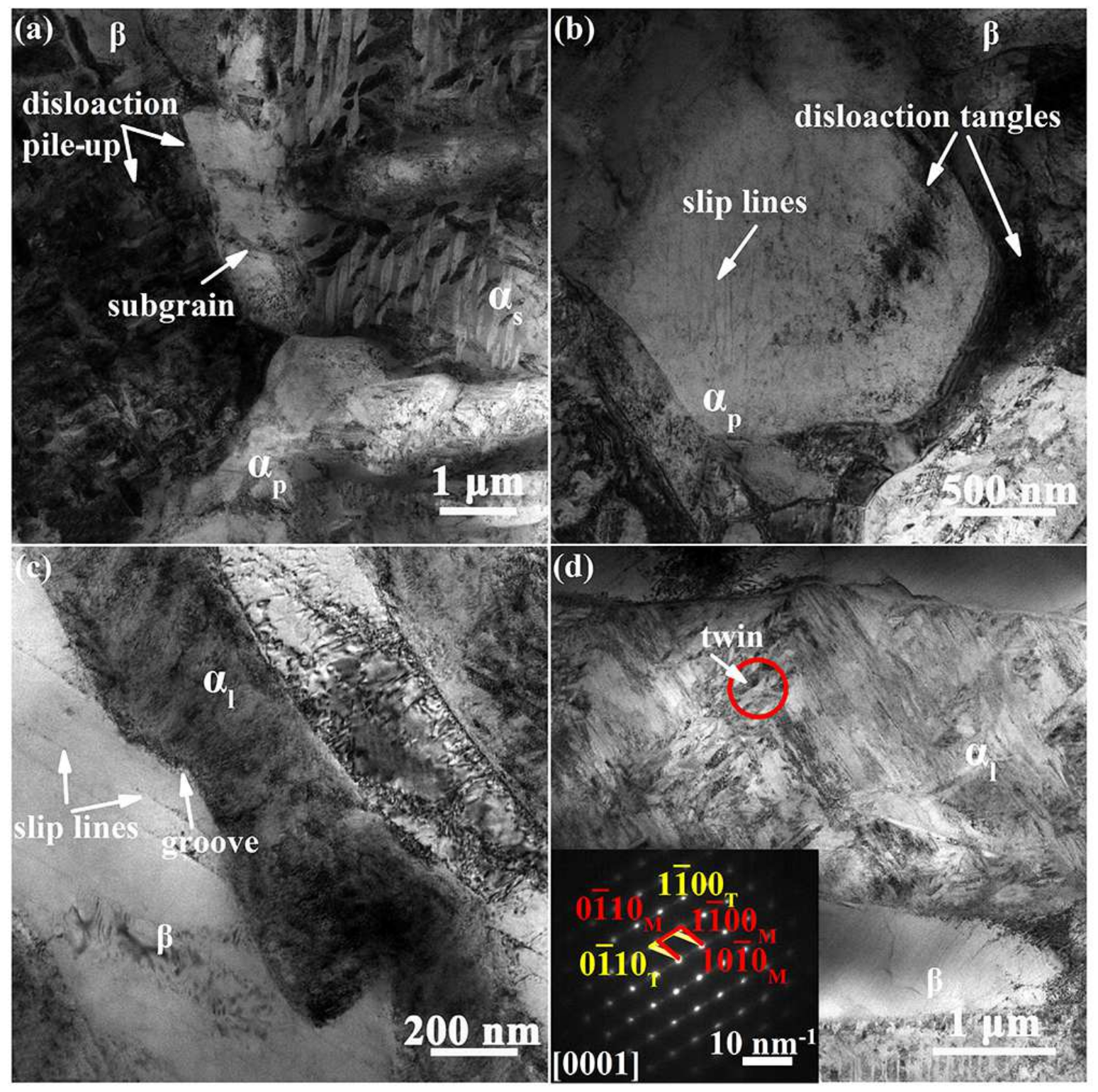 Metals 12 00271 g010