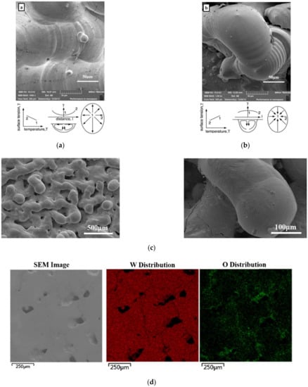 Metals 12 00274 g019 550