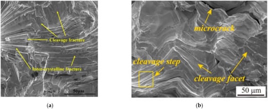 Metals 12 00274 g024 550