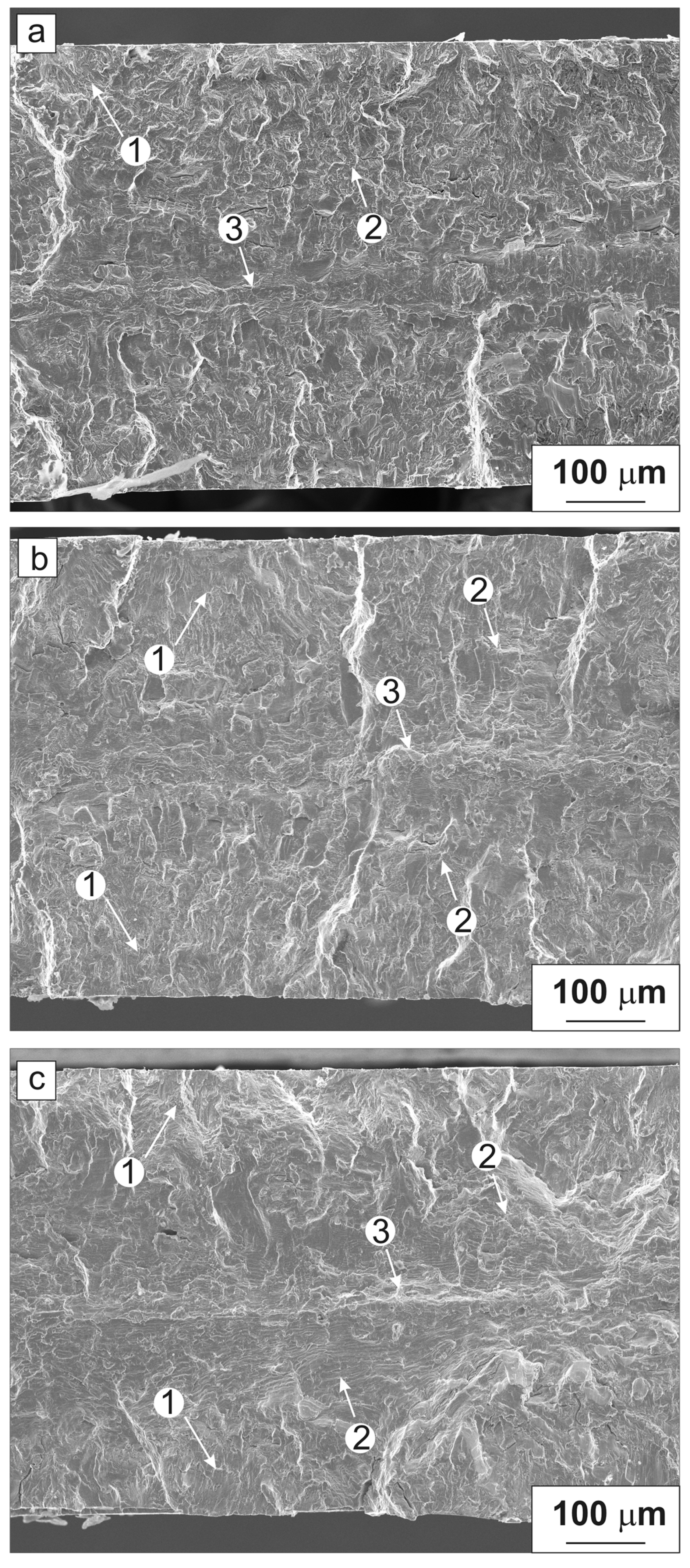 Metals 12 00281 g007