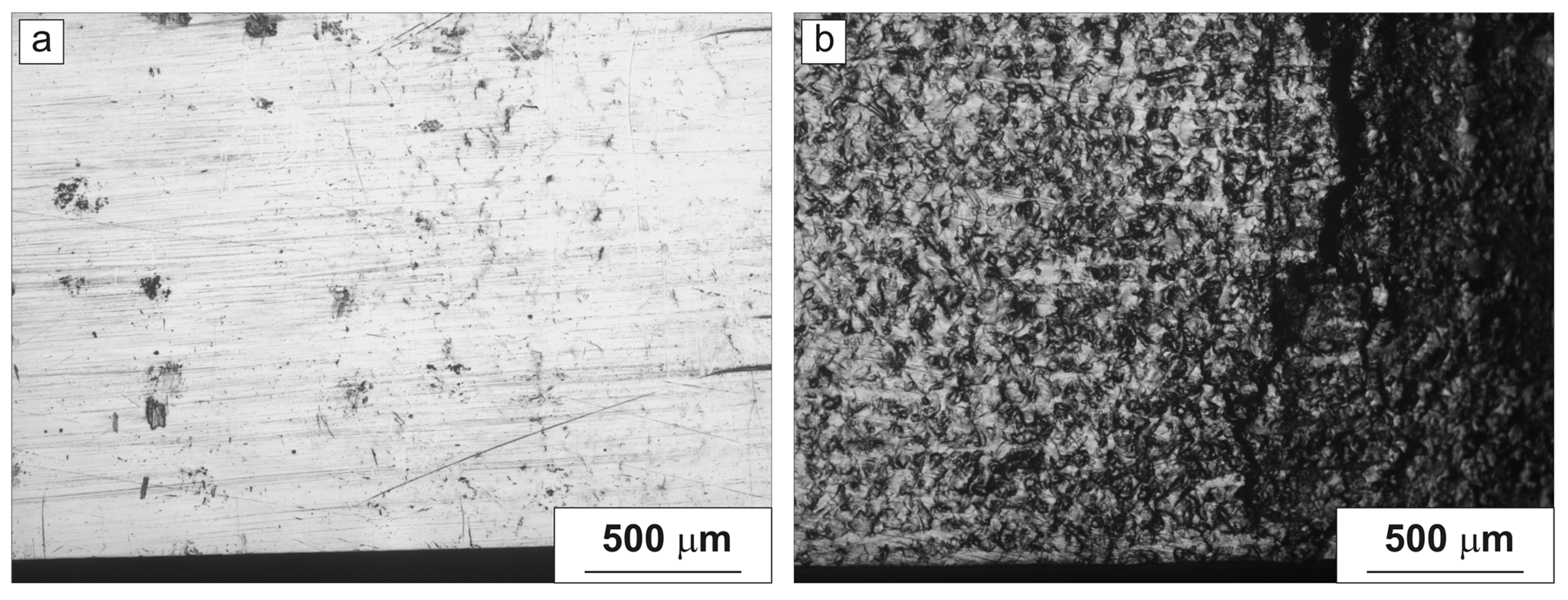 Metals 12 00281 g010