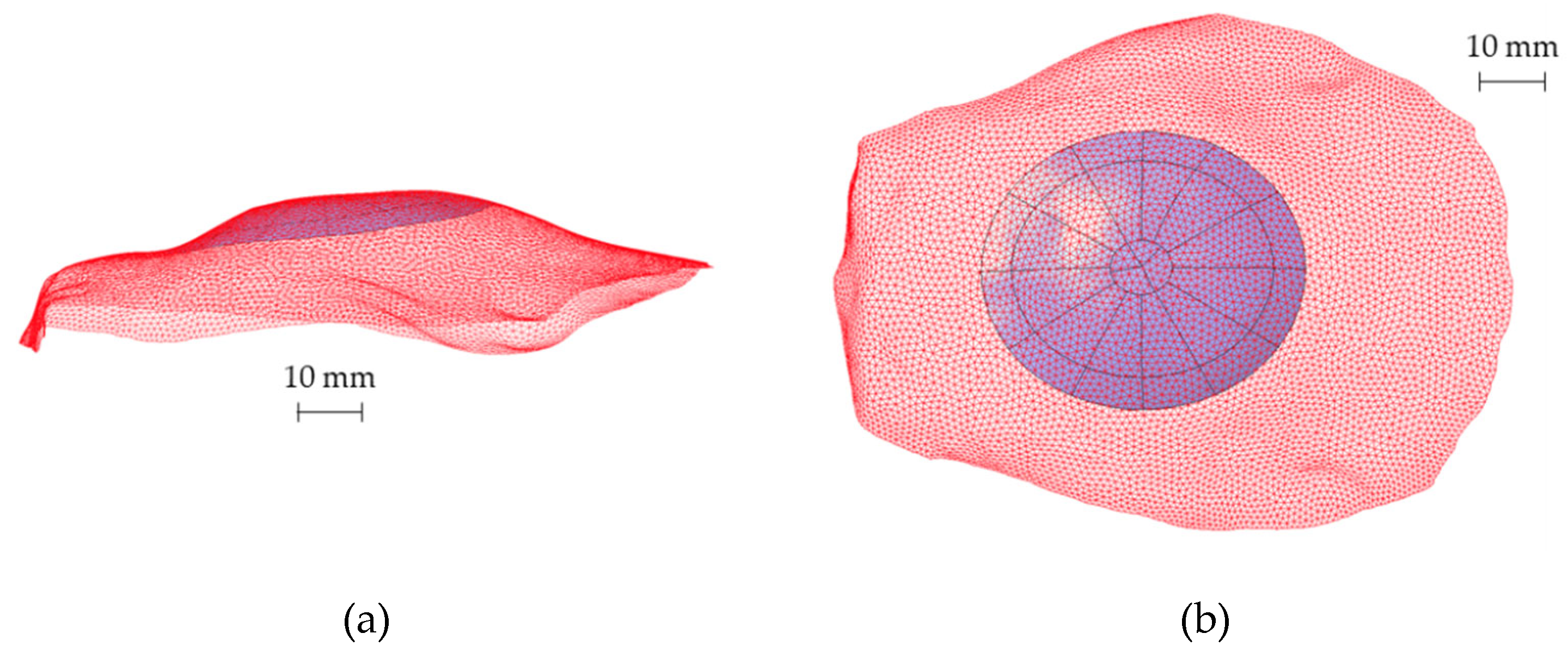 Metals 12 00293 g004