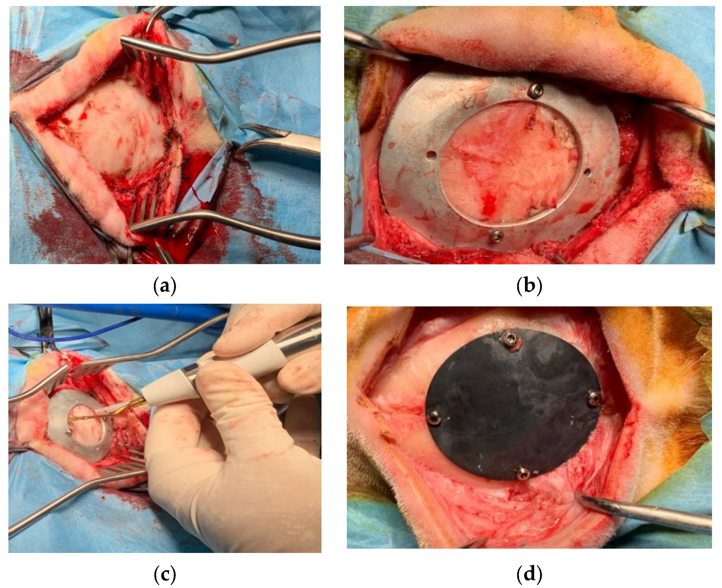Metals 12 00293 g011