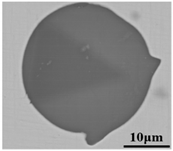 Metals 12 00295 i004 Metals 12 00295 i004