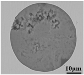 Metals 12 00295 i013 Metals 12 00295 i013