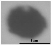 Metals 12 00295 i019 Metals 12 00295 i019