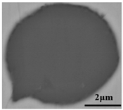 Metals 12 00295 i021 Metals 12 00295 i021