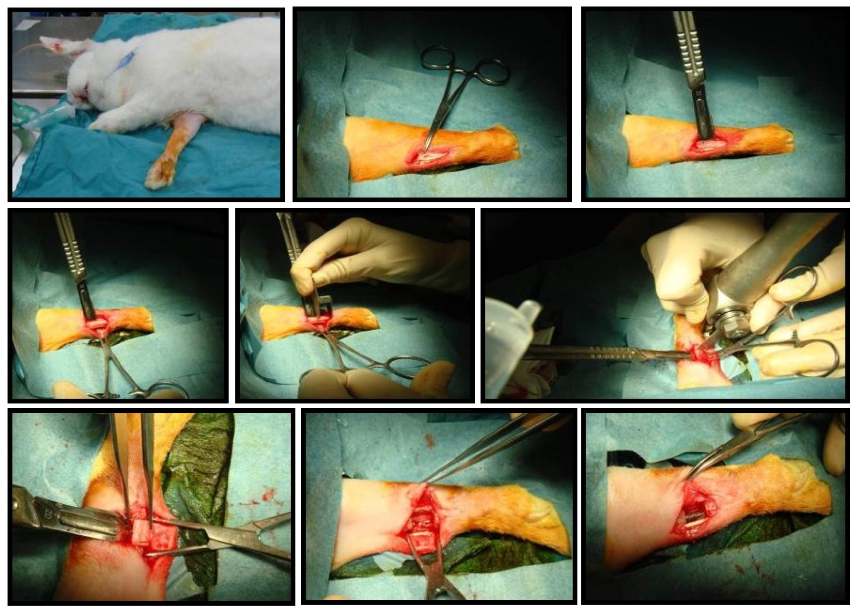 Metals 12 00327 g001