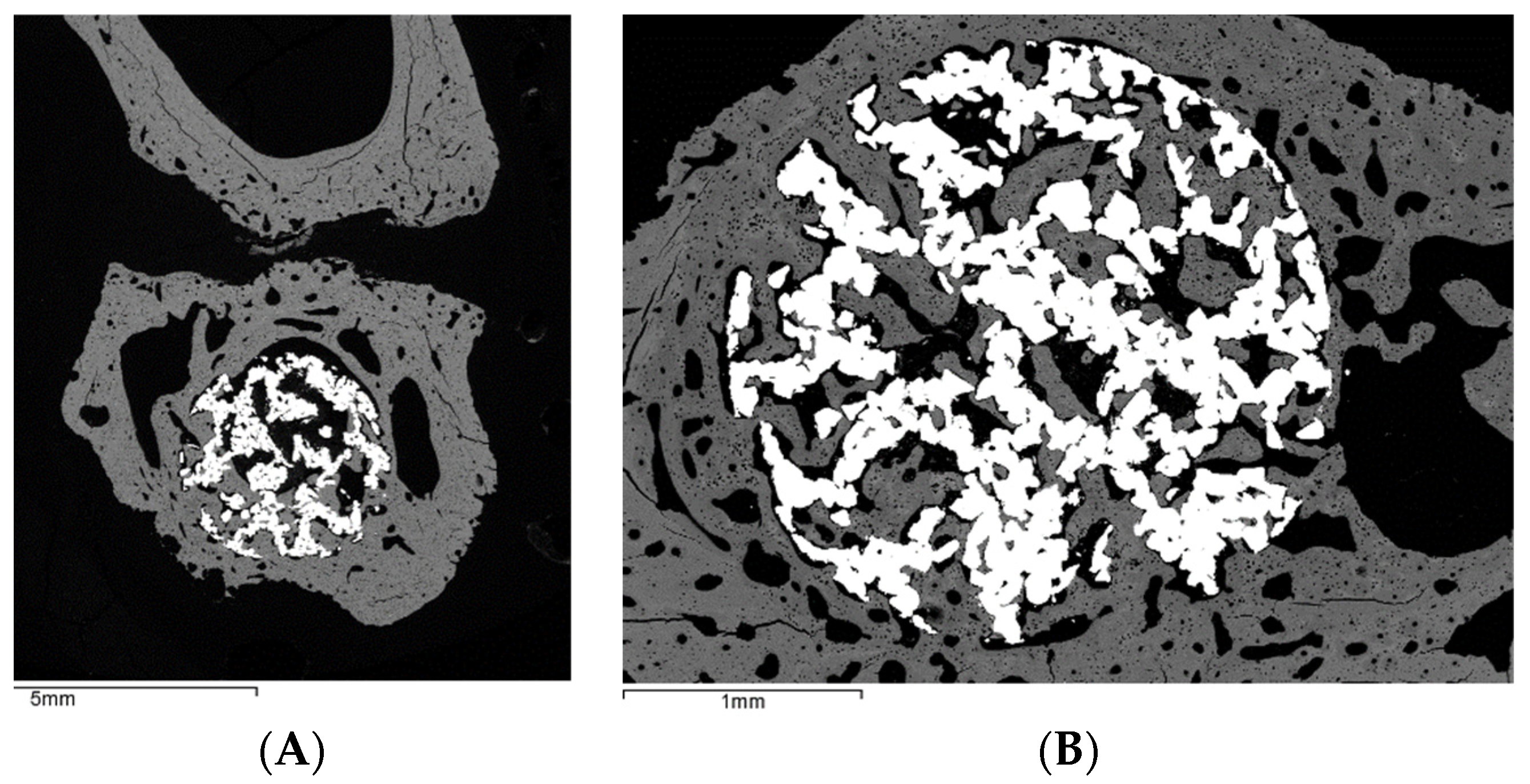 Metals 12 00327 g009a