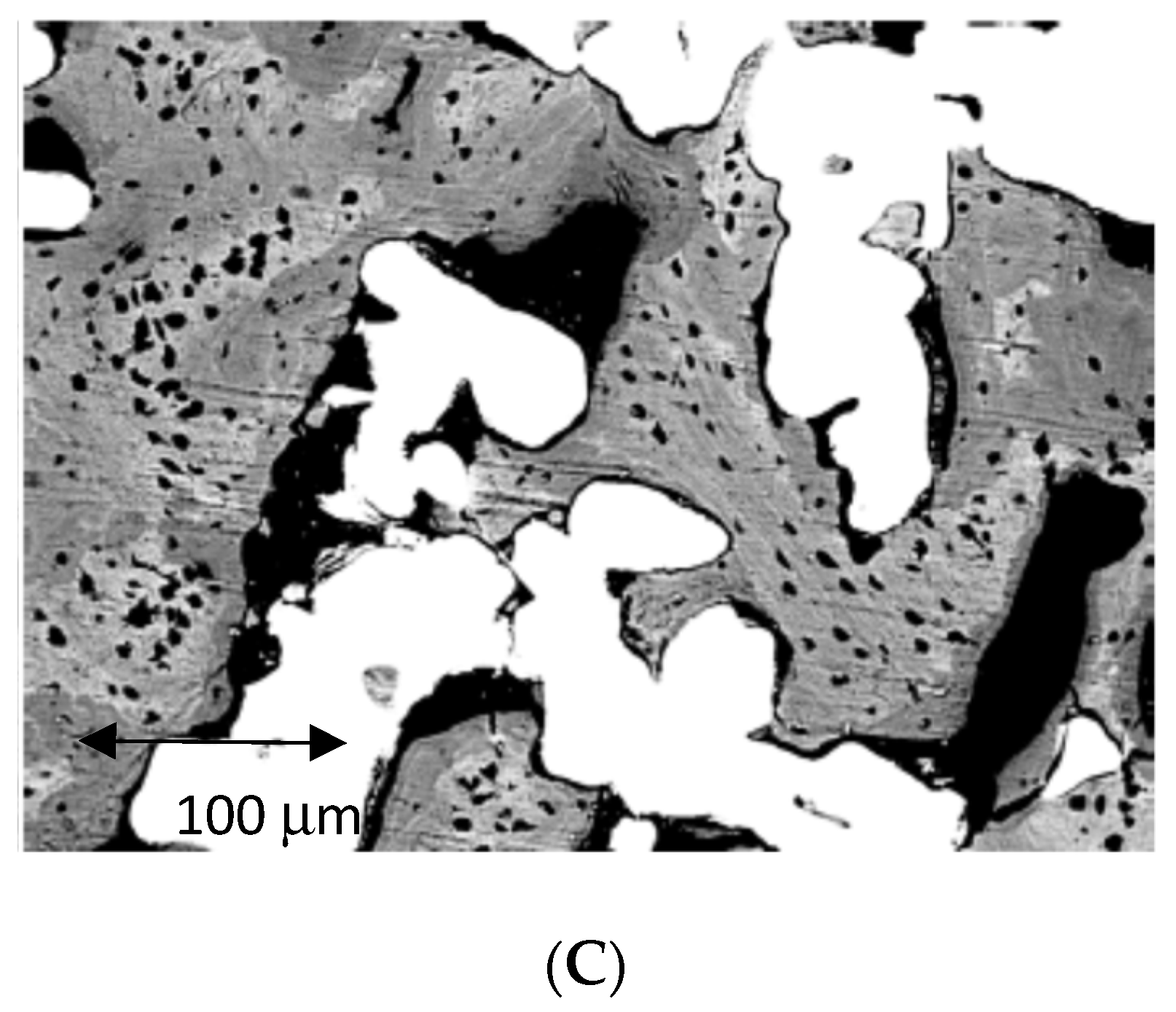 Metals 12 00327 g009b