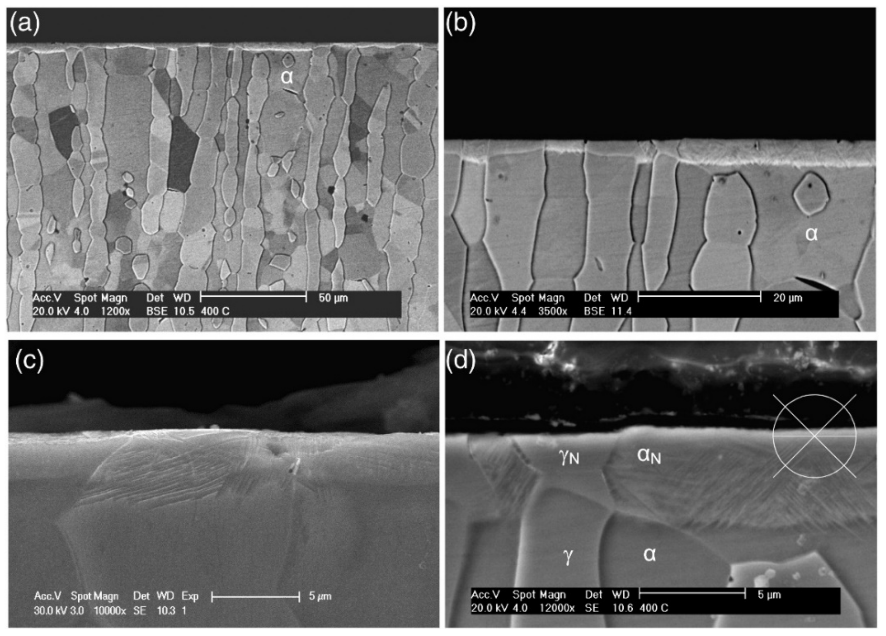 Metals 12 00331 g007