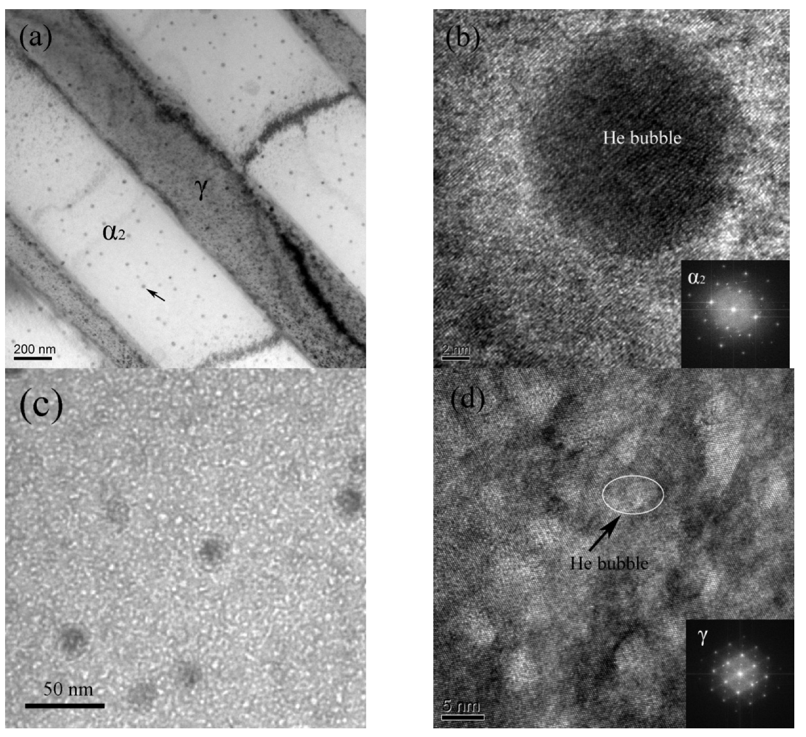 Metals 12 00335 g004