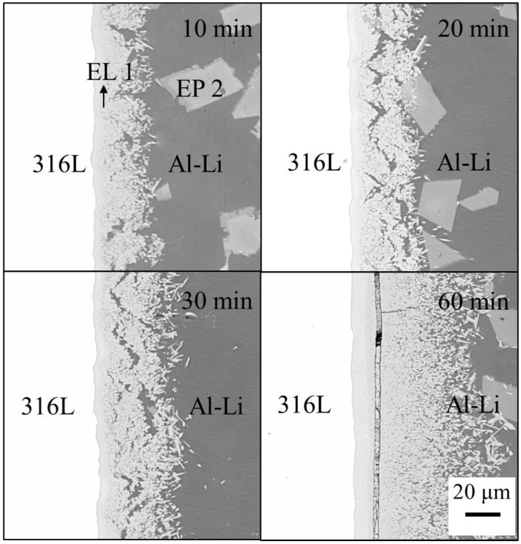 Metals 12 00350 g004