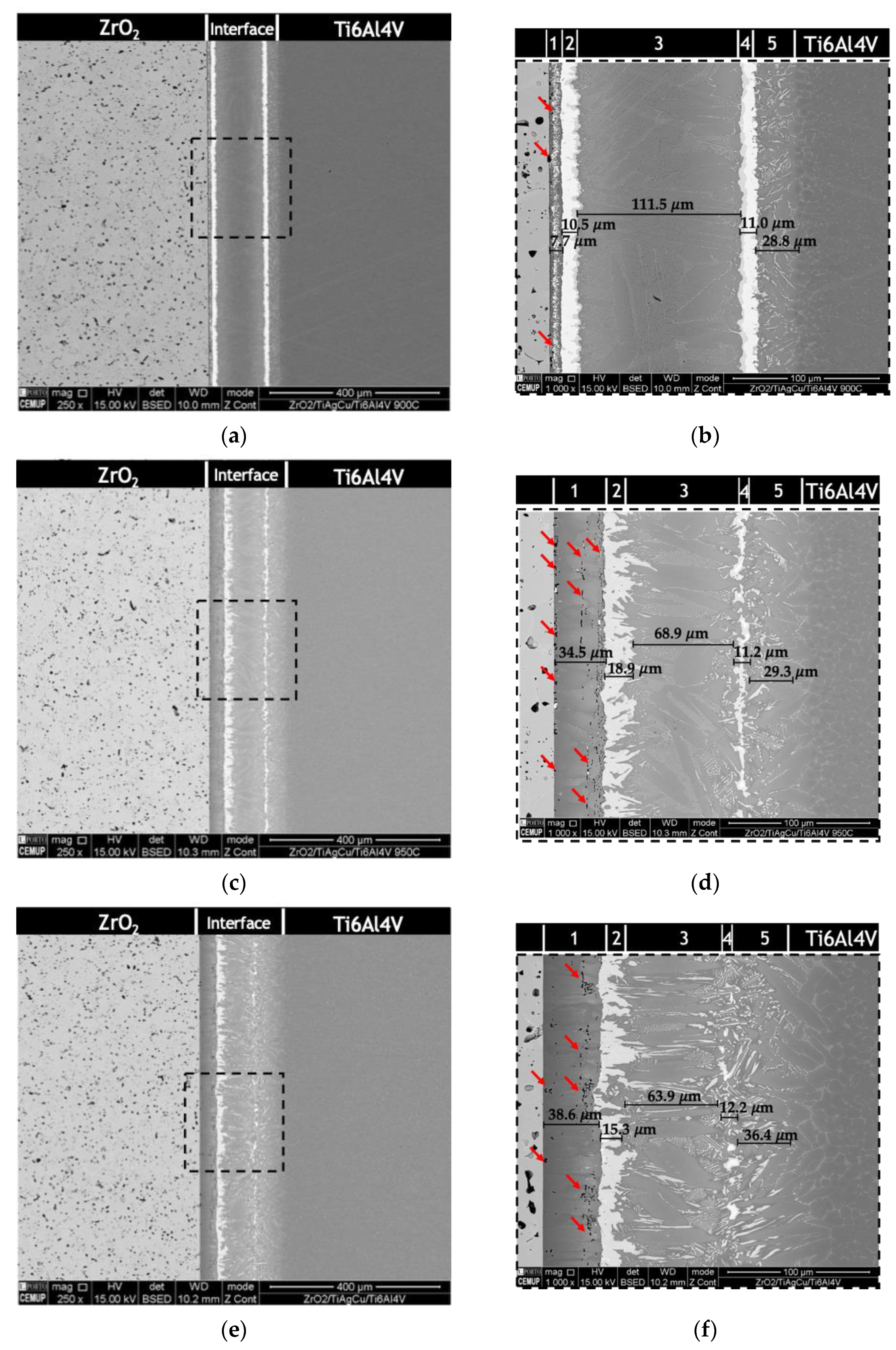 Metals 12 00358 g003