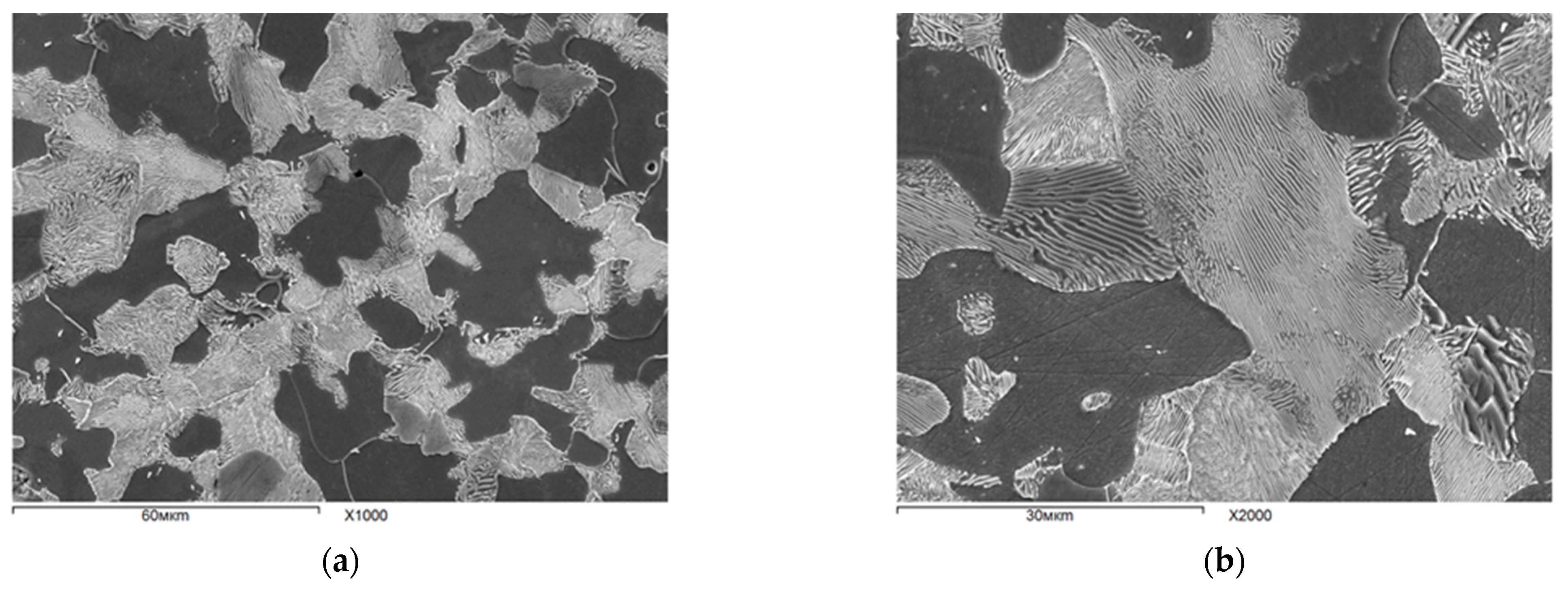 Metals 12 00366 g001